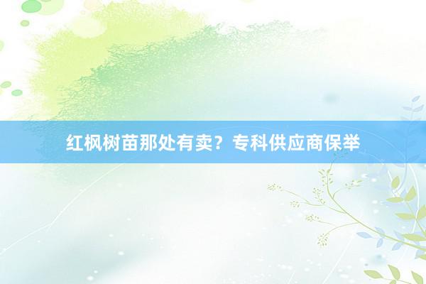 红枫树苗那处有卖？专科供应商保举