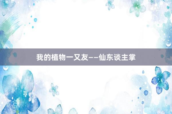 我的植物一又友——仙东谈主掌