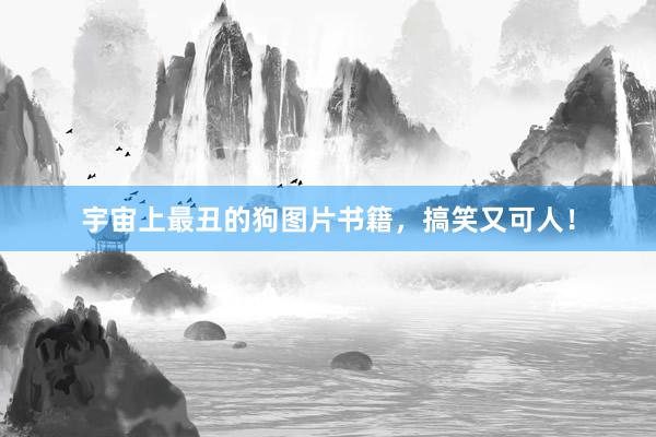 宇宙上最丑的狗图片书籍，搞笑又可人！