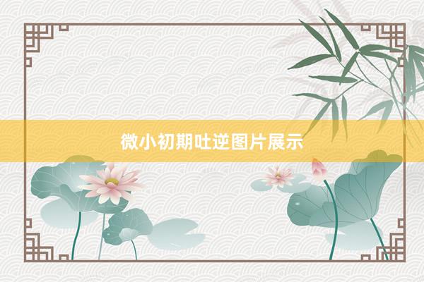 微小初期吐逆图片展示